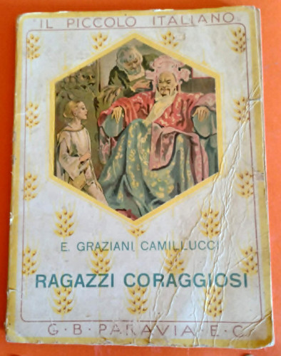 Libro ragazzi coraggiosi - ragazzi,
